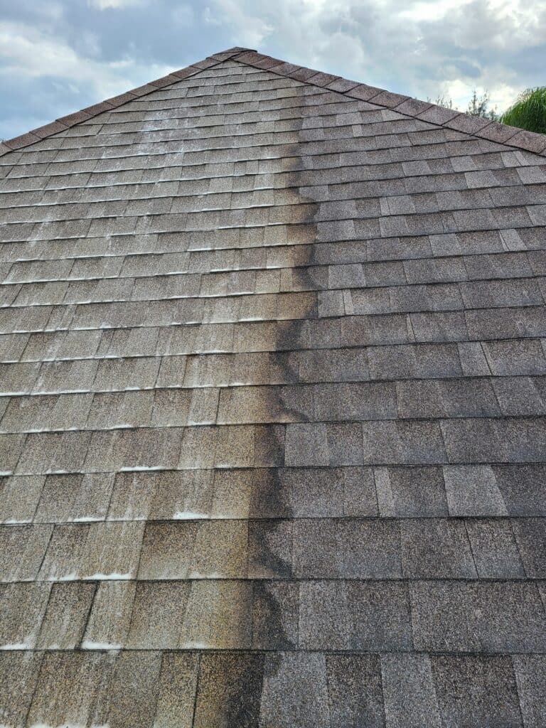 Roof Washing Services in Estero, FL